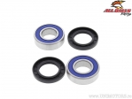 Front Wheel Bearings and Seals Kit - BMW R Nine T / FTR1200 Rally / Suzuki DL1000 V-Strom / VZR1500 M90 - All Balls