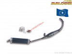 GP MHR Replica Exhaust System (3212666) - approved - Rieju NKD 50 H2O 2T E2 '04-'08 (AM6) - Malossi