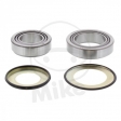 Handlebar Bearing Kit - Honda FJS 600 Silver Wing ('01-'06) / SH 300 i ('08-'09) - TourMax