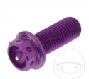 Hexagonal Cap Screw Pro Bolt M10 x 1.25 x 25 mm Aluminum Racing Violet - JM