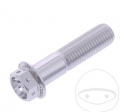 Hexagonal Cap Screw Pro Bolt M10 x 1.25 x 40 mm Aluminum Racing Silver - JM