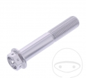 Hexagonal Cap Screw Pro Bolt M10 x 1.25 x 55 mm Aluminum Racing Silver - JM