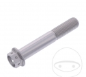 Hexagonal Cap Screw Pro Bolt M10 x 1.25 x 60 mm Aluminum Racing Silver - JM