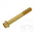 Hexagonal Cap Screw Pro Bolt M10 x 1.25 x 65 mm Aluminum Racing Gold - JM