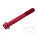 Hexagonal Cap Screw Pro Bolt M10 x 1.25 x 70 mm Aluminum Racing Red - JM