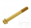 Hexagonal Cap Screw Pro Bolt M10 x 1.25 x 75 mm Aluminum Racing Gold - JM