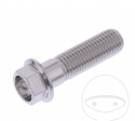 Hexagonal Cap Screw Pro Bolt M10 x 1.50 x 60 mm Stainless Steel A4 - JM