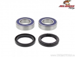 Hinterradlager- und Dichtungssatz - Beta RR 2T 125 / RR 2T 200 / RR 2T 250 / RR 4T 400 / Yamaha YT60 - All Balls