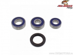 Hinterradlager- und Dichtungssatz - Honda XL 125 V Varadero (Euro / '01-'15) - All Balls