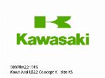 Kawa Arai LE22 Concept X - maat XS - 089PRA22101S - Kawasaki