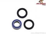 Kit cuscinetti e guarnizioni ruota anteriore - Can-Am Traxter 500 ('99-'01) - All Balls