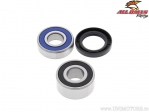 Kit cuscinetti e guarnizioni ruota posteriore - Honda NTV650 / NTV700 / VT750 / ST1100 / GL1500 - All Balls