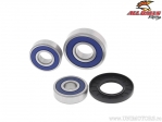 Kit Cuscinetti e Guarnizioni Ruota Posteriore - Suzuki GT750 - All Balls