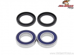 Kit cuscinetti e guarnizioni ruota posteriore - Suzuki LT-A400 2WD King Quad / LT-A500F Quad Master Auto / LT-F500F Vinson - All