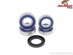 Kit cuscinetti / guarnizioni olio ruota posteriore - Husaberg 450FS-E ('06-'08) / 650FS-C ('07) / KTM LC4 500 / LC4 600 ('92) - 