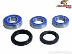 Kit cuscinetti / guarnizioni ruota posteriore - BMW F750GS / F850GS ('19) / F900R / F900XR ('20) - All Balls