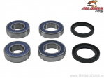 Kit Cuscinetti Ruota Posteriore / Guarnizioni Olio - Aprilia Caponord 1200 ('14-'17) / Dorsoduro 900 ('18-'19) - All Balls