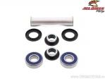 Kit cuscinetti ruota posteriore rinforzato - Husaberg 390FE / Husqvarna FC250 (Euro) / KTM EGS125 / Yamaha FZ150 (SA) - All Ball