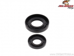 Kit de joints spi vilebrequin - Yamaha YZ250 ('01-'22) / YZ250X ('16-'22) - All Balls