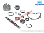 Kit de reparación de bomba de agua - Kymco Grand Dink / People / X-Citing / Yup / KXR / MXU / Maxxer 250cc/300cc 4T - (Olympia)