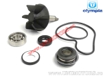 Kit de reparación de bomba de agua - Suzuki UH Burgman / UC Epicuro / AN Burgman 125cc-400cc 4T - (Olympia)