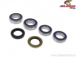 Kit de rodamientos y sellos de rueda trasera - BMW G 650 X Moto ('06-'07) - All Balls