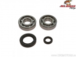 Kit de rodamientos y sellos del cigüeñal - Honda CR250R / CR500R - All Balls