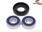 Kit de rolamentos e retentores da roda dianteira - Kawasaki KX 250 A ('74-'75) - All Balls