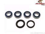 Kit de rolamentos e retentores da roda traseira - BMW G650X Challenge ('06-'07) / G650X Country ('06-'08) - All Balls