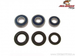 Kit de rolamentos e retentores da roda traseira - Cagiva Canyon 500 ('96-'00) / Honda XR 750 L Africa Twin (Euro / '90-'03) - Al