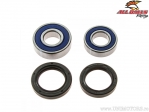 Kit de rolamentos e retentores da roda traseira - Honda NSR 125 R (Euro / '93-'01) - All Balls