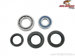 Kit de rolamentos / retentores da roda traseira - Yamaha YFM35FX Wolverine ('95-'99) - All Balls