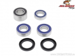 Kit de Roulements et Joints de Roue Arrière - Honda CBR 929 RR ('00-'01) / CBR 954 RR ('02-'03) / RVT 1000 R ('00-'06) - All Ba