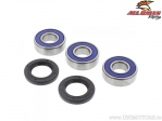 Kit de roulements et joints de roue arrière - Yamaha TT225 / XT125 / XT200 - All Balls