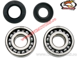 Kit de roulements et joints de vilebrequin - Kawasaki KX 250 ('80-'86) - (All Balls)