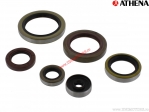 Kit de sellos de aceite del motor de motocicleta - Beta RR 250 2T / RR 300 2T ('14-'15) - Athena