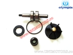 Kit riparazione pompa acqua - Aprilia SR 50R / Gilera DNA / Runner / Piaggio NRG / NTT / Quartz / Zip SP 50cc 2T - (Olympia)