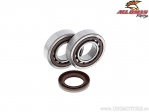 Kit rulmenti + semering ambielaj - KTM EXC 250 / EXC / MXC / SX 400-450 / EXC / SX 4T LC 520-525 - All Balls