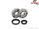 Kurbelwellenlager und Dichtungssatz - Suzuki RM80X / RM85 / RM85L - All Balls