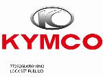 LOCK SET FUEL LID - 77232GLW0318M2 - Kymco