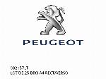 LOTTO DI 25 CONNETTORI A4 RECT/VERSO - 002157LT - Peugeot