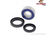 Lower steering stem bearing kit - Adley ATV150S / ATV300Q / Kawasaki KVF300 Brute Force / Kymco Mongoose 250 - All Balls