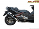 Maxi Wild Lion Exhaust System (3217938.K0) - approved - Kymco AK 550i 4T H2O E4 '17-'20 (EU approved) - Malossi