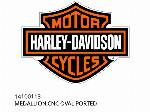 MEDAGLIONE, OVALE CNC CON PORTA - 14100113 - Harley-Davidson