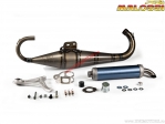 MHR Exhaust System (329834) - Aprilia Scarabeo Street 50 AIR 2T E2 '10-'12 (Piaggio) - Malossi