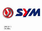 OIL SEAL - 21000110 - SYM