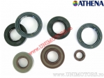 Oil seal kit - Sym GTS 125 Joymax ('06-'07) / Joyride 200 EU2 / EU3 I ('05-'09) - Athena