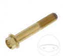 Parafuso com tampa hexagonal Pro Bolt M10 x 1.25 x 57 mm em aço inoxidável A4 dourado - JM