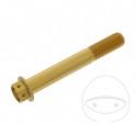 Parafuso com tampa hexagonal Pro Bolt M10 x 1.25 x 70 mm em alumínio dourado Racing - JM