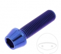 Parafuso de cabeça cônica arredondada Pro Bolt M10 x 1.25 x 35 mm em aço inoxidável A4 azul - JM